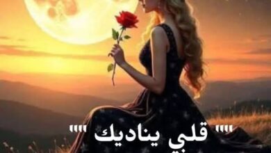 قَلْبي يُناديك. بِقَلَم د. ملك أحمد