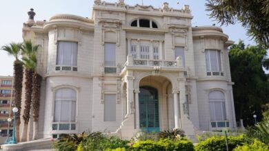 توضيح من جامعة عين شمس بشأن أعمال تطوير المسطحات الخضراء بكلية التجارة