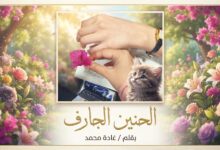 "الحنين الجارف"... بقلم / غادة محمد 
