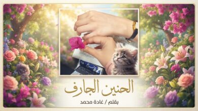 "الحنين الجارف"... بقلم / غادة محمد