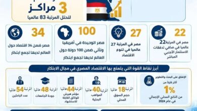 وزارة التعليم العالي : مصر تتقدم في مؤشر الابتكار العالمي 2026م