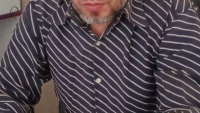 حين وقف المماليك أمام المغول مرة أخرى. بقلم / محمد مصطفى كامل