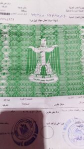 استغاثة عاجلة من أسرة توأم بفاقوس.. طفل يصرف له اللبن والآخر لا!