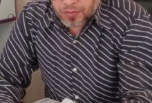 حين ثارت البشرات. بقلم / محمد مصطفى كامل