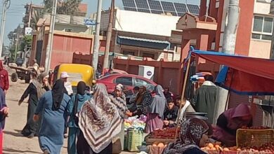 بوابة مدرسة بكفر الشيخ محاصرة فهل ننتظر أن يتحول الإهمال إلى خبر عاجل