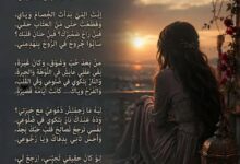 عتاب... بقلم د. ملك أحمد