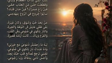عتاب... بقلم د. ملك أحمد