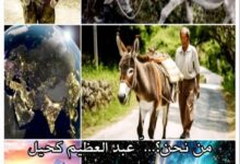 ◇ من نحن؟... انفصامٌ في الهوية ّ سببته التبعية العمياء◇