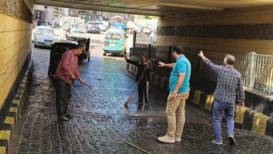 بتوجيهات محافظ_المنوفية وجهود الوحدات المحلية بحي غرب شبين الكوم