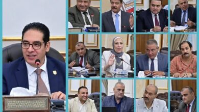 رئيس جامعة القاهرة يبحث تطوير صندوق الزمالة وتعظيم موارده ومزاياه