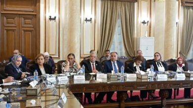 جامعة القاهرة : جلسة موسعة لمناقشة قضايا الاقتصاد المصري