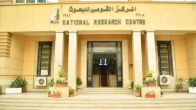 التعليم العالي : المركز القومي للبحوث يتصدر المؤسسات البحثية المصرية