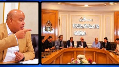 لجنة التواصل مع الشُّعَب التجارية بغرفة القاهرة تنعقد للأسبوع الثاني على التوالي