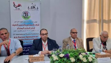 رئيس جامعة كفر الشيخ يترأس اللجنة العلمية للمؤتمر الدولي الثالث عشر لعلوم الدواجن