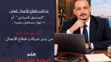 مستقبل شركات قطاع الأعمال الصندوق السيادي أم «مستقبل مصر»