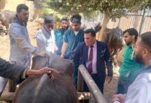 كلية الطب البيطري – جامعة مدينة السادات تُنظّم قافلة طبية بيطرية