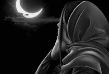السجين والسجان. بقلم : نجوى حمدي