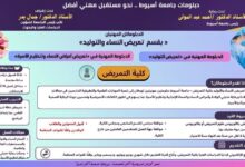 «دبلومات جامعة أسيوط.. نحو مستقبل مهني أفضل»