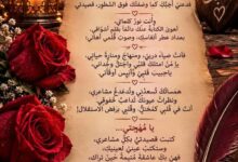 حبيبُ الرُّوحِ ومُهجتي. بقلم د. ملك أحمد