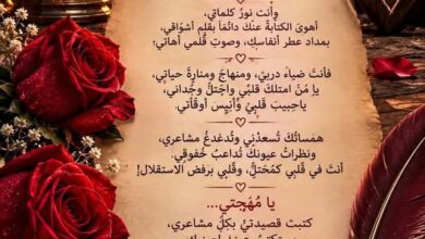 حبيبُ الرُّوحِ ومُهجتي. بقلم د. ملك أحمد