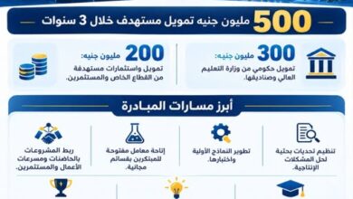 التعليم العالي : مبادرة «دولة الابتكار» تستهدف تحويل أفكار الطلاب والباحثين إلى مشروعات إنتاجية