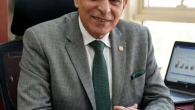 محمد العرجاوي يطالب بإلغاء التسجيل المسبق للترانزيت لتعزيز تنافسية الموانئ المصرية