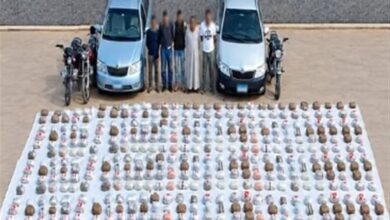 ضربة أمنية كبرى.. مصرع 5 عناصر شديدة الخطورة