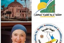 كلية التربية للطفولة المبكرة بجامعة القاهرة تحصل على الاعتماد المؤسسي المشروط