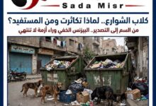 كلاب الشوارع في مصر.. لماذا تكاثرت؟ ومن هو المستفيد الخفي من بقائها؟