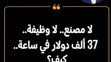 لا مصنع.. لا وظيفة.. 37 ألف دولار في ساعة.. كيف؟. بقلم: ياسر وزيري  
