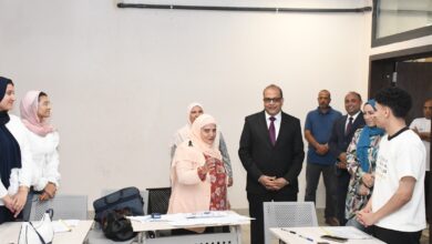 جامعة الإسماعيلية الجديدة الأهلية