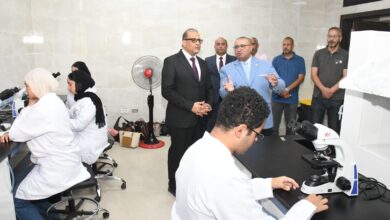 كلية الصيدلة
