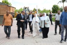 جامعة الإسماعيلية الجديدة الأهلية
