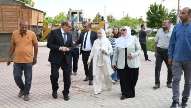 جامعة الإسماعيلية الجديدة الأهلية