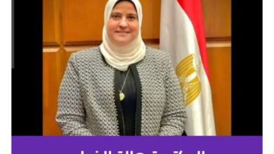 د.هالة الخولي : مركز التكوين المهني بالأميرية وحنان الدنيا