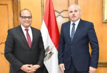 جامعة الإسماعيلية الجديدة الأهلية