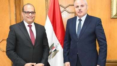 جامعة الإسماعيلية الجديدة الأهلية